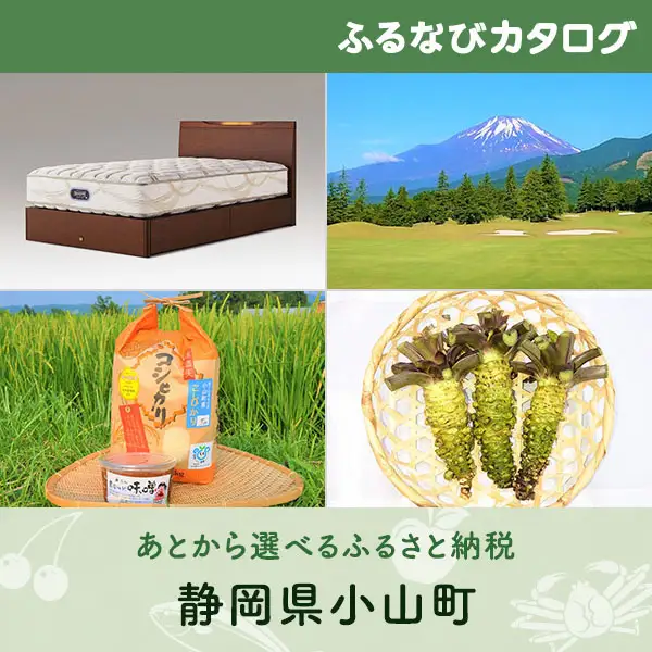 【有効期限なし！後からゆっくり特産品を選べる】静岡県小山町カタログポイント