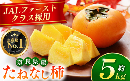大人気！ リピーター多数！ たねなし柿 約 5kg 箱 （18～24個入） | 西岡農園