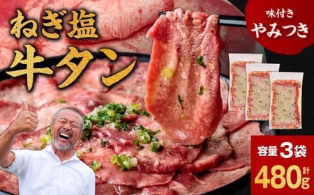 牛タン ねぎ塩牛タン 480g 9-018