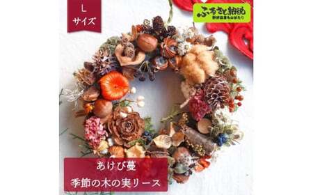 あけび蔓 季節の木の実リース Lサイズ | W-2