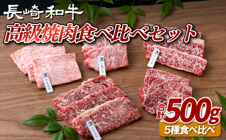 長崎和牛5種焼肉セット500g