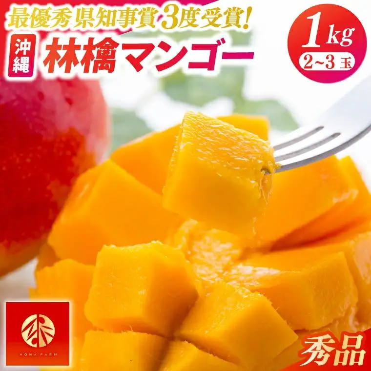 沖縄マンゴー約1kg(2～3玉)