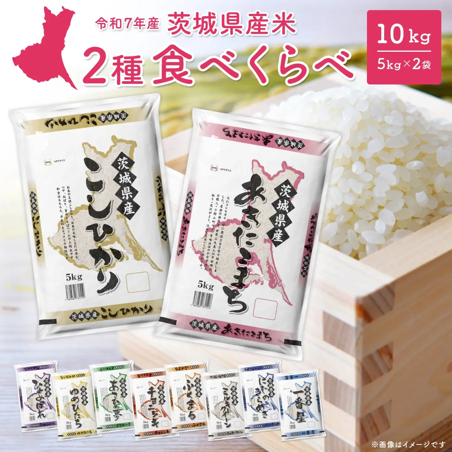 2種食べ比べ 10kg 〈令和8年5月内発送〉茨城県産【令和7年産/白米】米 精米 小分け 2025年産 K2457