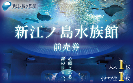 新江ノ島 水族館 入場券 大人1枚 小中学生1枚 / チケット
