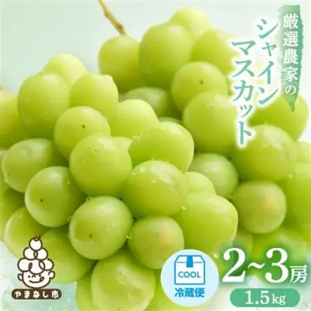 【2026年発送】シャインマスカット　2～3房 1.5kg【配送不可地域：離島】【1565515】