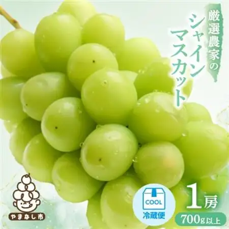 【2026年発送】厳選農家のシャインマスカット 700g以上 1房　化粧箱入り【配送不可地域：離島】【1565534】