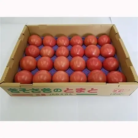 きそさきのとまと(4kg)【配送不可地域：離島】【1029690】