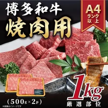 【A4～A5】博多和牛焼肉用　1kg(500g×2p)(大牟田市)_肉 焼肉 牛肉 やきにく ヤキニク バーベキュー  肉 黒毛和牛 牛肉 _【配送不可地域：離島】【1560691】