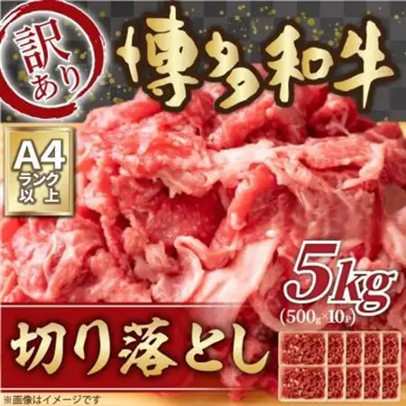 訳あり!【A4～A5】博多和牛切り落とし　5kg(500g×10p)(大牟田市)_肉 黒毛和牛 牛肉 _【配送不可地域：離島】【1560980】