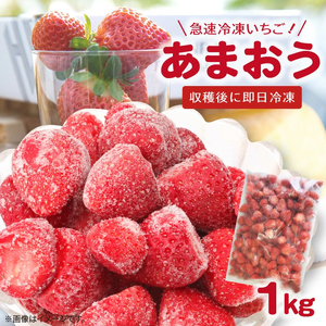 【福岡県産】 急速冷凍いちご あまおう（1kg） _R00106