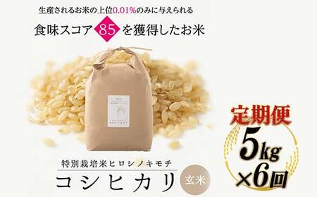 【6回定期】特別栽培米 コシヒカリ ヒロシノキモチ 玄米 5kg 総計30kg 陽咲玲 米 お米 コメ ご飯 ごはん 富山県産 富山県 立山町 F6T-937