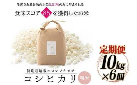 【6回定期】特別栽培米 コシヒカリ ヒロシノキモチ 精米 10kg 総計60kg ブランド米 銘柄米 国産 米 お米 日本米 ギフト 贈り物 備蓄 防災 食品 陽咲玲 はるざれ F6T-928