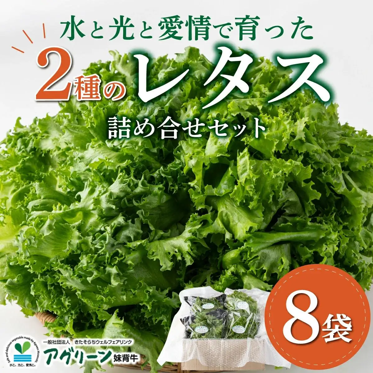 水と光と愛情で育ったレタス詰め合わせ 8袋入