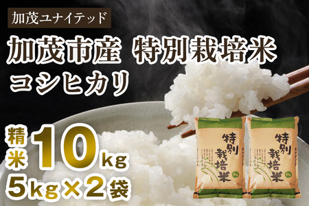 【令和8年産新米先行予約】加茂市産 特別栽培米 コシヒカリ 精米10kg 《10月上旬～順次出荷》