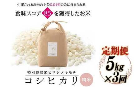 【3回定期】特別栽培米 コシヒカリ ヒロシノキモチ 精米 5kg 総計15kg ブランド米 銘柄米 国産 米 お米 日本米 ギフト 贈り物 備蓄 防災 食品 陽咲玲 はるざれ F6T-924