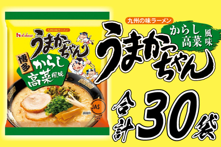 大特￥10400　人気　うまかっちゃん 　博多っ子超定番　辛子高菜 　とんこつ味 大特￥10400 人気 うまかっちゃん 博多っ子超定番 辛子高菜 とんこつ味
