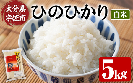 ＜令和7年産＞ひのひかり 白米 (5kg) お米 ごはん ご飯【107101002】【あいはな農園】