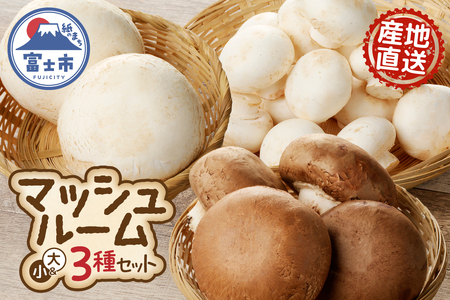 マッシュルーム 産地直送 長谷川農産 3種 セット 新鮮 ホワイト ブラウン ジャイアント ポットベラ 無農薬 無漂白 生でも食べられる ビタミン たんぱく質 希少 濃厚 きのこ キノコ 静岡県 富士市 野菜 [sf002-353]