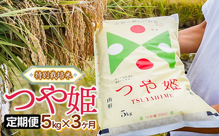 【定期便】令和7年産 特別栽培米 つや姫 精米 5kg×3ヶ月 山形県鶴岡市産 株式会社嘉左エ門