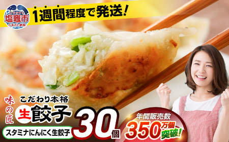 餃子 スタミナにんにく生餃子 30個