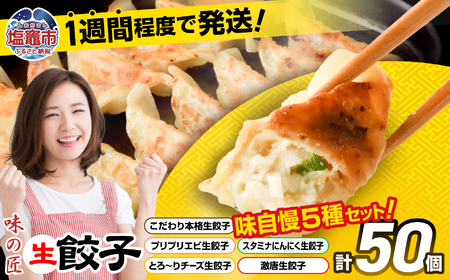 餃子 こだわり本格 生餃子 5種 食べ比べ セット 50個入り (10個×各5種類) 