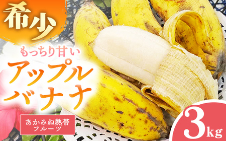 希少栽培種】あかみね熱帯フルーツのアップルバナナ約3kg - 国産 希少