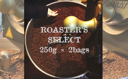 ロースターズセレクト 250g×2種類のおすすめスペシャルティコーヒー ドリンク コーヒー スペシャルティコーヒー 豆