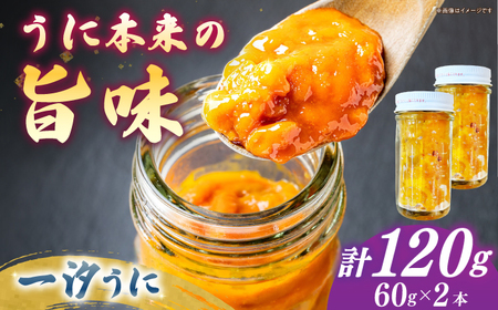  一汐うに 60g×2 [JAQ014] うに
