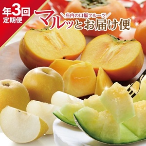 SE0491　【3回定期便】庄内の口福フルーツマルッとお届け便2026 (アンデスメロン、刈屋梨、庄内柿)