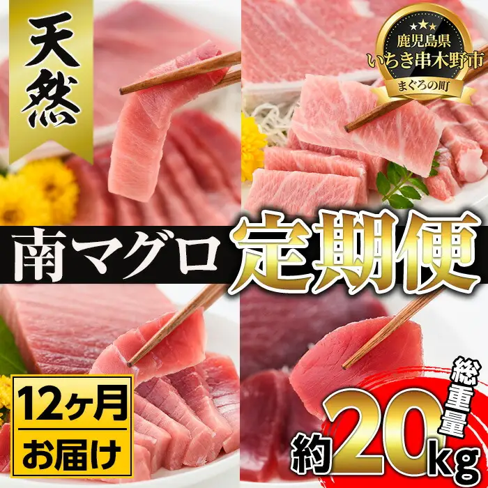【定期便全12回】天然 南まぐろ 定期便 約19Kg まぐろ【00-019-08-TK】