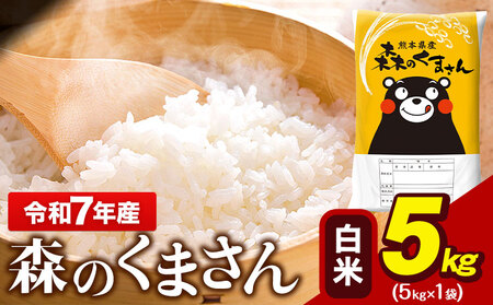  令和7年産 森のくまさん 5kg × 1袋  白米 熊本県産 単一原料米 森くま《7-14日以内に出荷予定(土日祝除く)》｜人気米 熊本県産米 お米 生活応援米