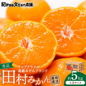 V7452_【2026年先行予約】田村みかん／5kg秀品【小玉サイズ】