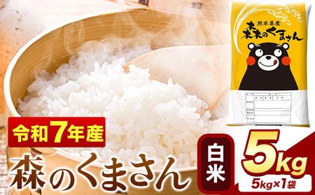 米 令和7年産 白米 森のくまさん 5kg (5kg×1袋)《1-5日以内に出荷予定(土日祝を除く)》