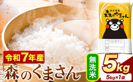 米 令和7年産 無洗米  森のくまさん 5kg (5kg×1袋)《1-5日以内に出荷予定(土日祝を除く)》