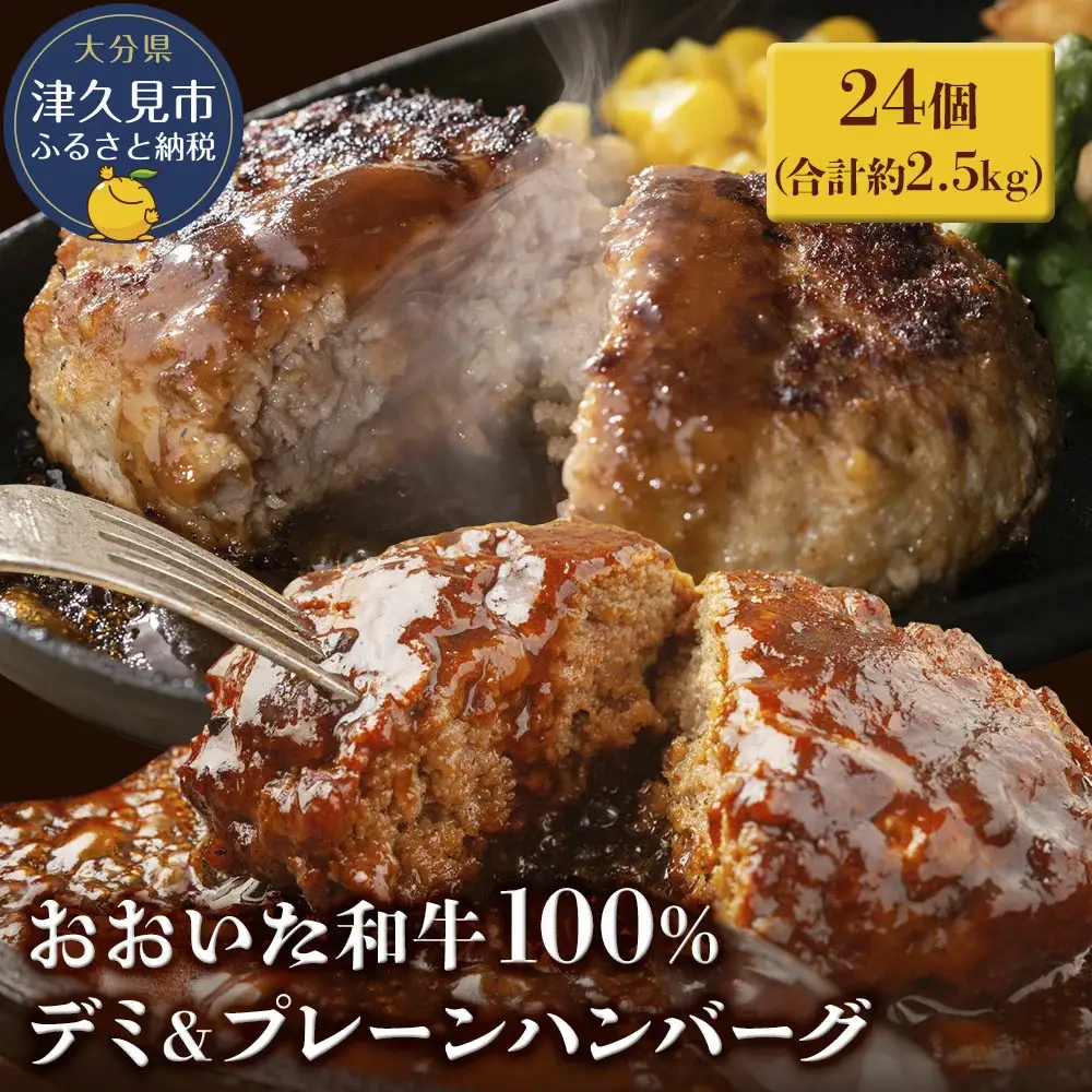 ハンバーグ おおいた和牛 デミ＆プレーンハンバーグ 24個 計約2.5kg | 津久見市