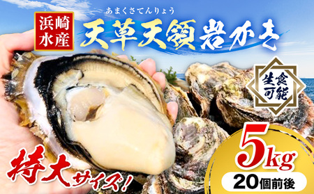岩牡蠣 5kg かき 浜崎水産 牡蠣 生食