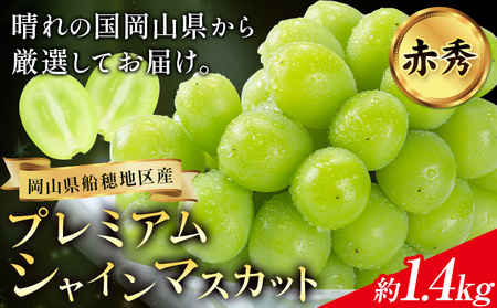 【2026年発送】プレミアム シャインマスカット 船穂 赤秀品 晴王 1.4kg 晴レ乃青果　(岡山中央卸売市場店(富士紙工 有限会社))  