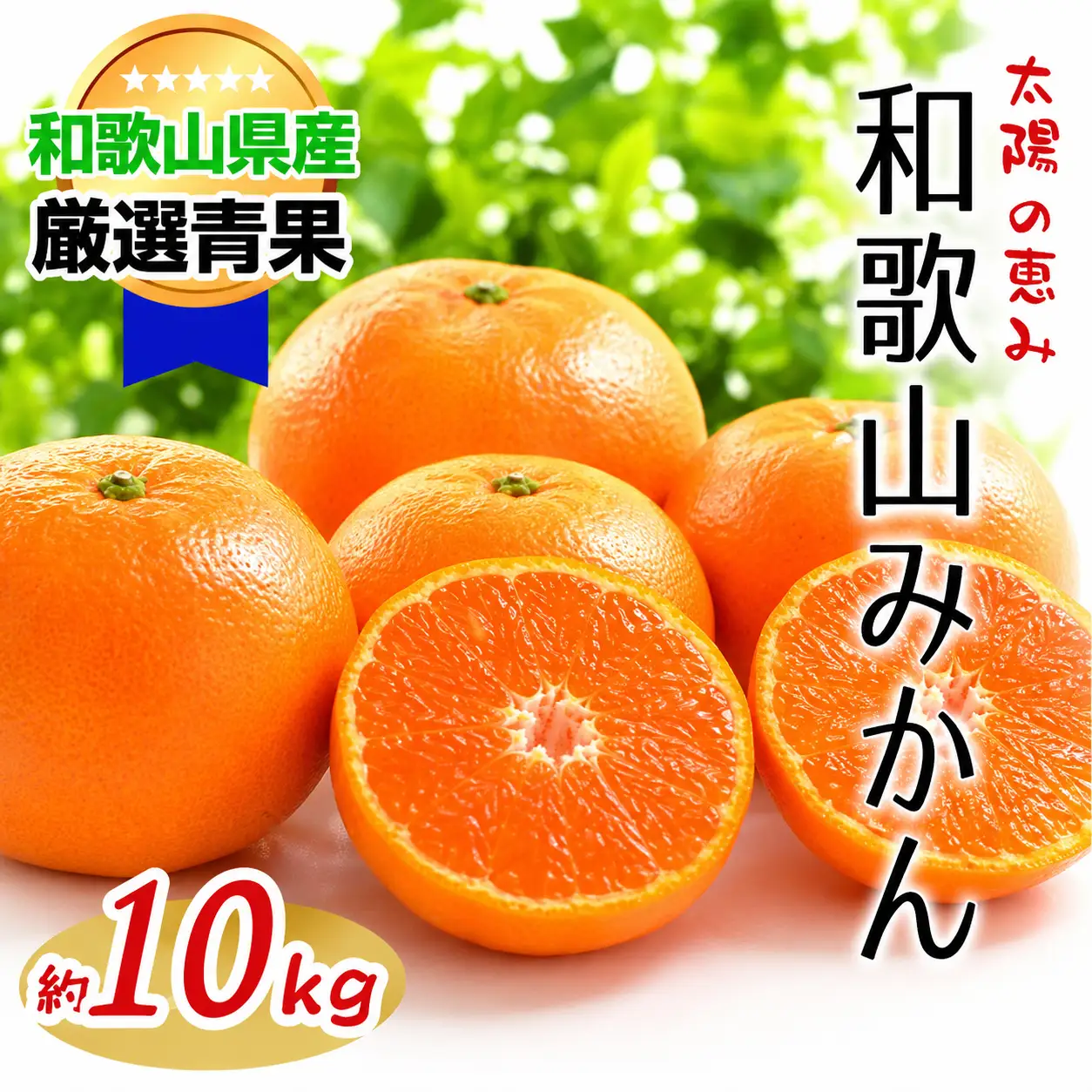 【太陽の恵み】和歌山みかん(約１０kg) 【2025年12月上旬～2026年1月下旬発送】 【A021-frks013B】