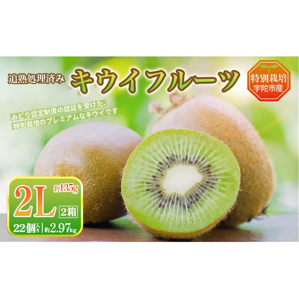 ＜2026年12月〜3月発送＞こだわり プレミアムキウイフルーツ 2Lサイズ 11個×2箱入 追熟処理済／ ふるさと納税 キウイ キウイフルーツ ギフト 栄養 果物 お土産 化学肥料不使用 特別栽培 塩 奈良県 宇陀市 やまとファームJAPAN
