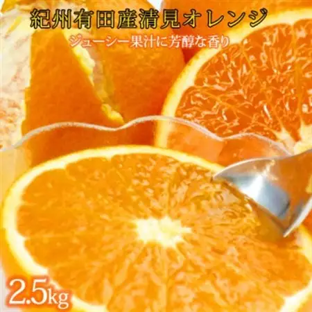 とにかくジューシー清見オレンジ　2.5kg【1560342】