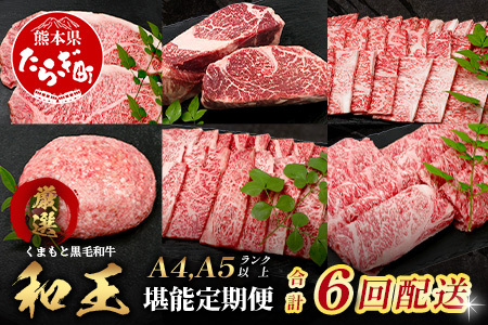 【定期便6回】くまもと黒毛和牛【 和王 堪能 定期便 】6回配送 ブランド牛 プレミアム 定期便 サーロイン ヒレ ステーキ 最上級 黒毛 和牛 牛肉 国産 A4 A5 熊本県 冷凍 》113-0604