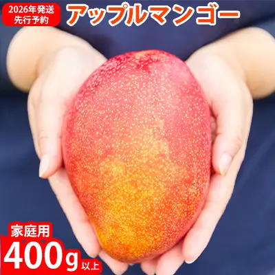 マンゴー【2026年発送先行予約】アップルマンゴー優品400g以上
