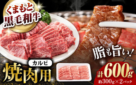 熊本県産 黒毛和牛 カルビ 焼肉用 約600g(約300g×2pc)【有限会社 九州食肉産業】[ZDQ153]