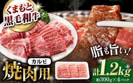 熊本県産 黒毛和牛 カルビ 焼肉用 約1.2kg(約300g×4pc)【有限会社 九州食肉産業】[ZDQ154]