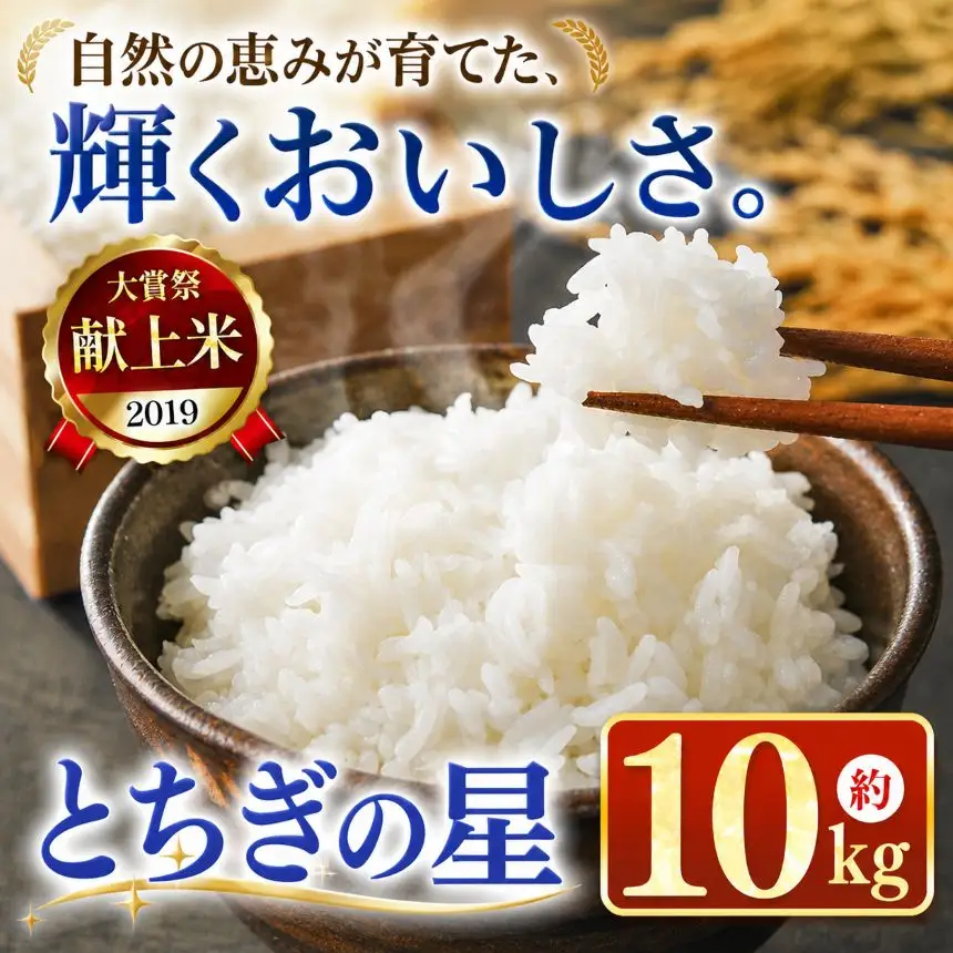 令和7年度 とちぎの星 10kg 