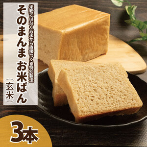パン 食パン そのまんまお米ぱん 3本 ( 600g × 3 ） コシヒカリ 米 玄米 使用 パン パン パン