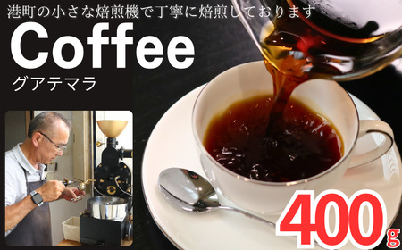 コーヒー グアテマラ 約400g 粉 自家焙煎 珈琲 ティピカ