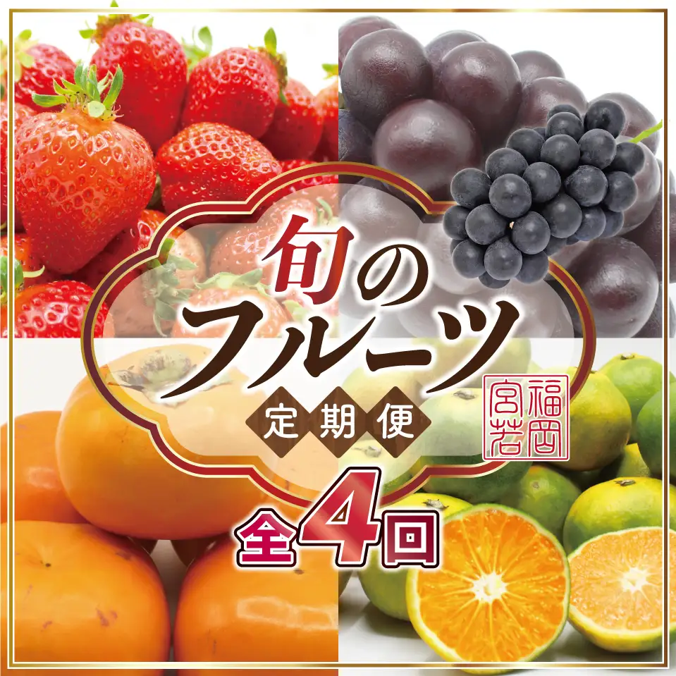 【定期便】宮若市旬のフルーツ定期便【全４回】 ブランド いちご ぶどう みかん 柿 大人気 NO1 限定品 高級 フルーツ 果物 くだもの 特別 冷蔵 プレゼント 九州 福岡 宮若市 ふるさと納税 おすすめ 送料無料 M763