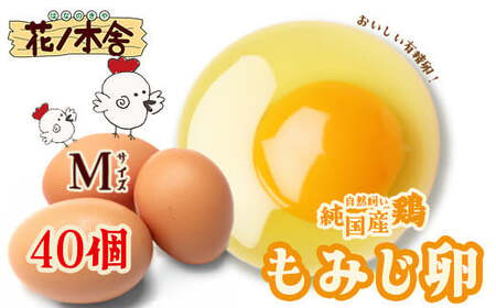 自然飼い　純国産鶏「もみじ」卵　40個入　（Mサイズ）　【04209-0235】　たまご