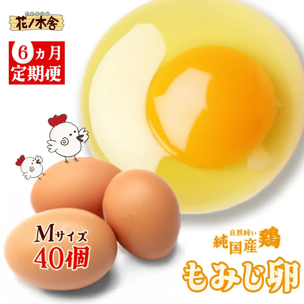 【6か月定期便】自然飼い　純国産鶏「もみじ」卵　40個入　（Mサイズ）　【04209-0238】　たまご